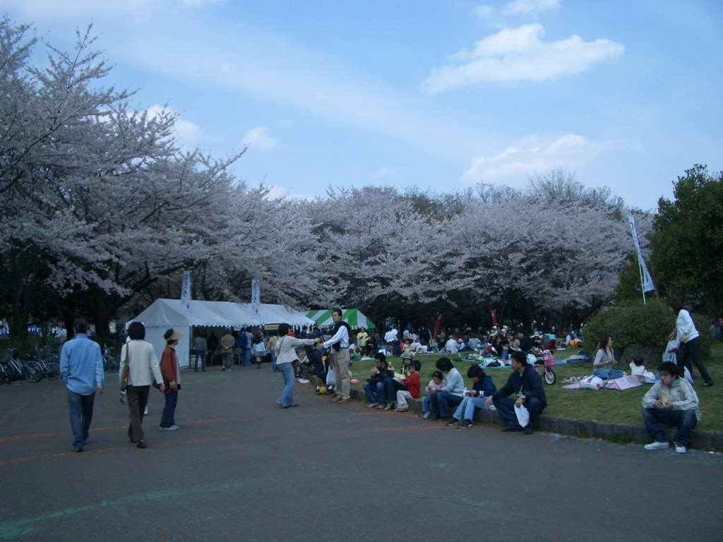 http://www.shintoko.jp/engblog/archives/images/2007/04/070408_tokorozawafesthival01s.jpg