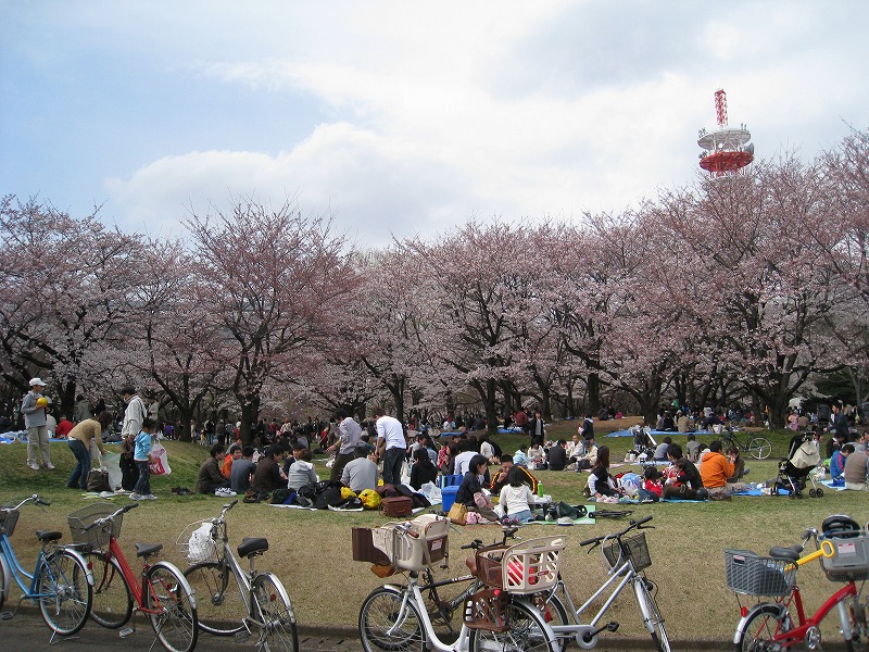 http://www.shintoko.jp/engblog/archives/images/2009/04/090404_blossamviewing_1535.jpg