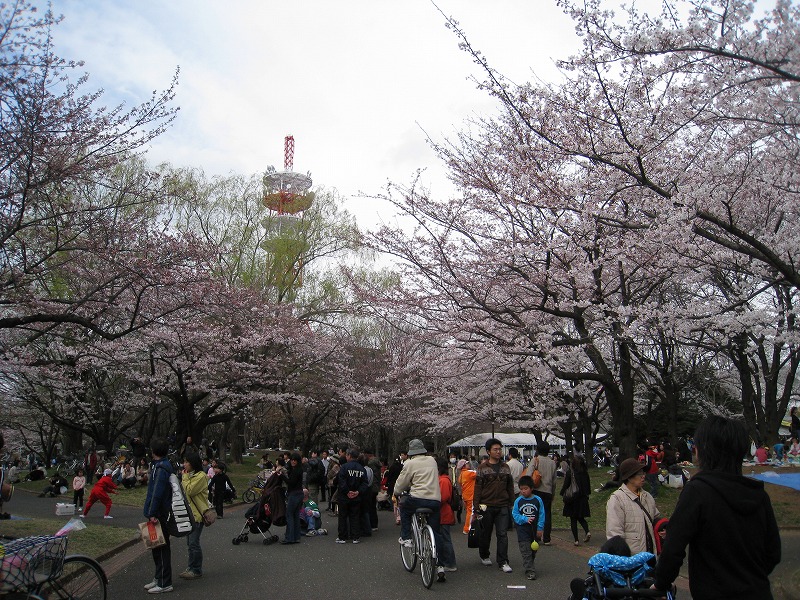 http://www.shintoko.jp/engblog/archives/images/2009/04/090404_blossamviewing_1536.jpg