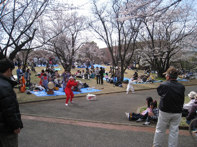 http://www.shintoko.jp/engblog/archives/images/2009/04/090404_blossamviewing_1537.jpg