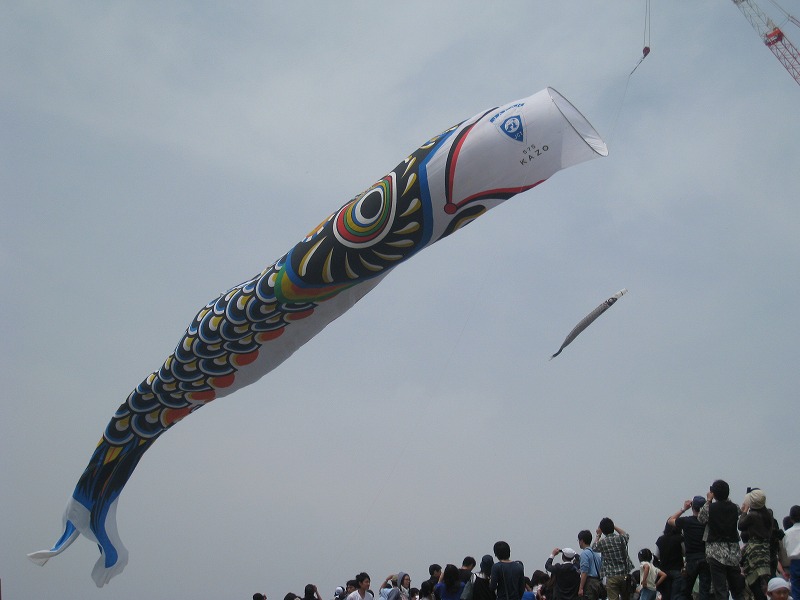 http://www.shintoko.jp/engblog/archives/images/2009/05/090503_kazokoinobori01.jpg