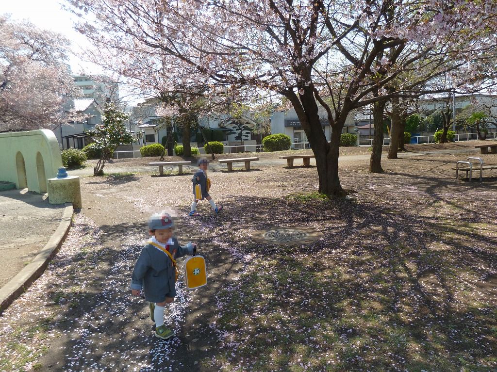 http://www.shintoko.jp/engblog/archives/images/2011/04/110412_enterkindergarden261.jpg