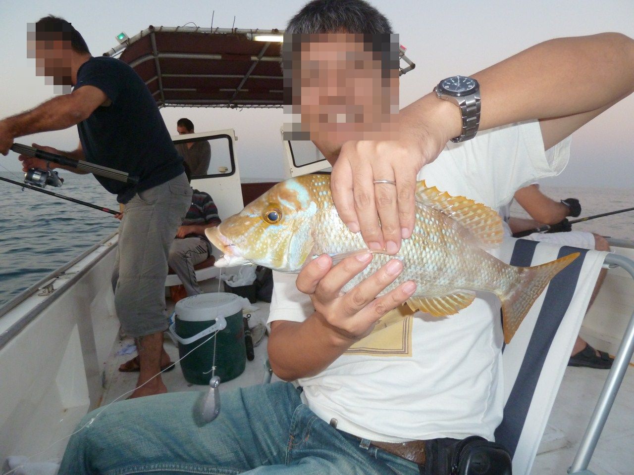 http://www.shintoko.jp/engblog/archives/images/2011/10/111028_qatarfishing936.jpg