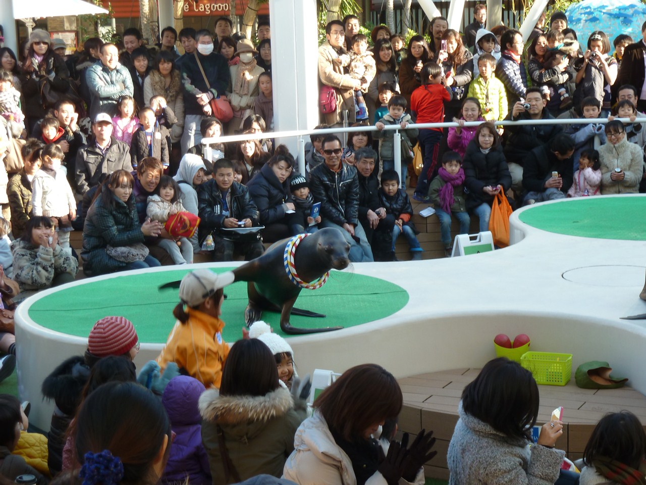 http://www.shintoko.jp/engblog/archives/images/2011/12/111231_sunshineaqua273.jpg