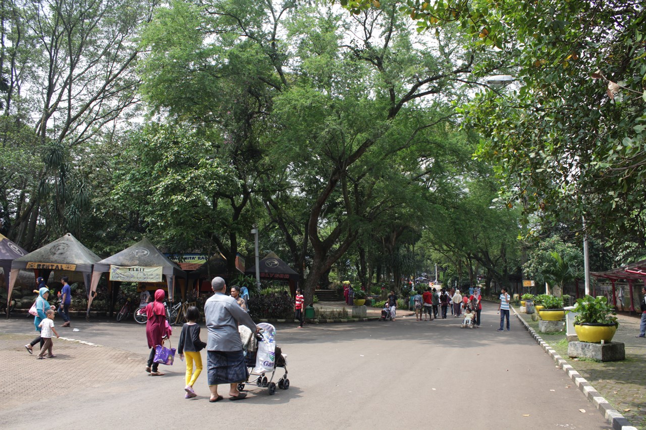 http://www.shintoko.jp/engblog/archives/images/2013/05/130511_ragunan4237.jpg