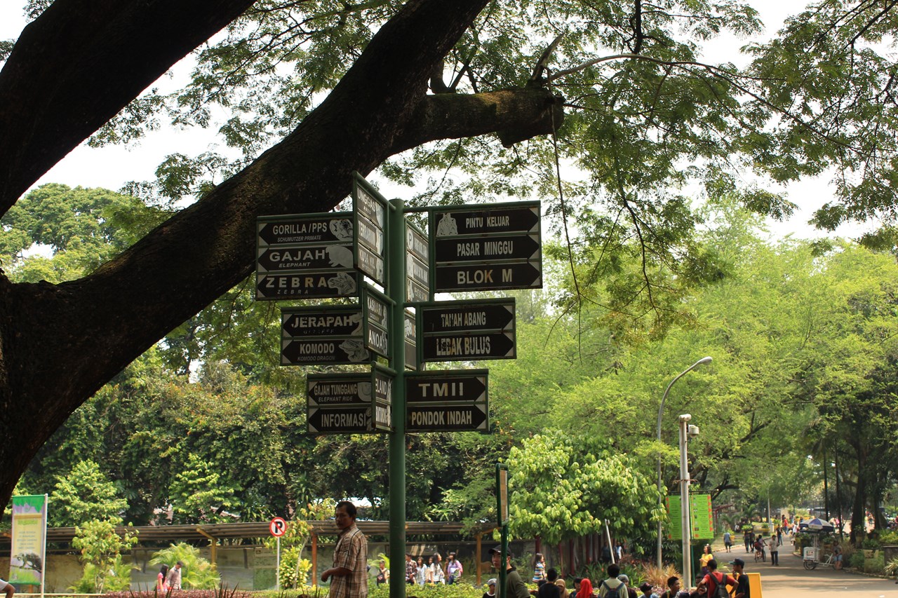 http://www.shintoko.jp/engblog/archives/images/2013/05/130511_ragunan4244.jpg