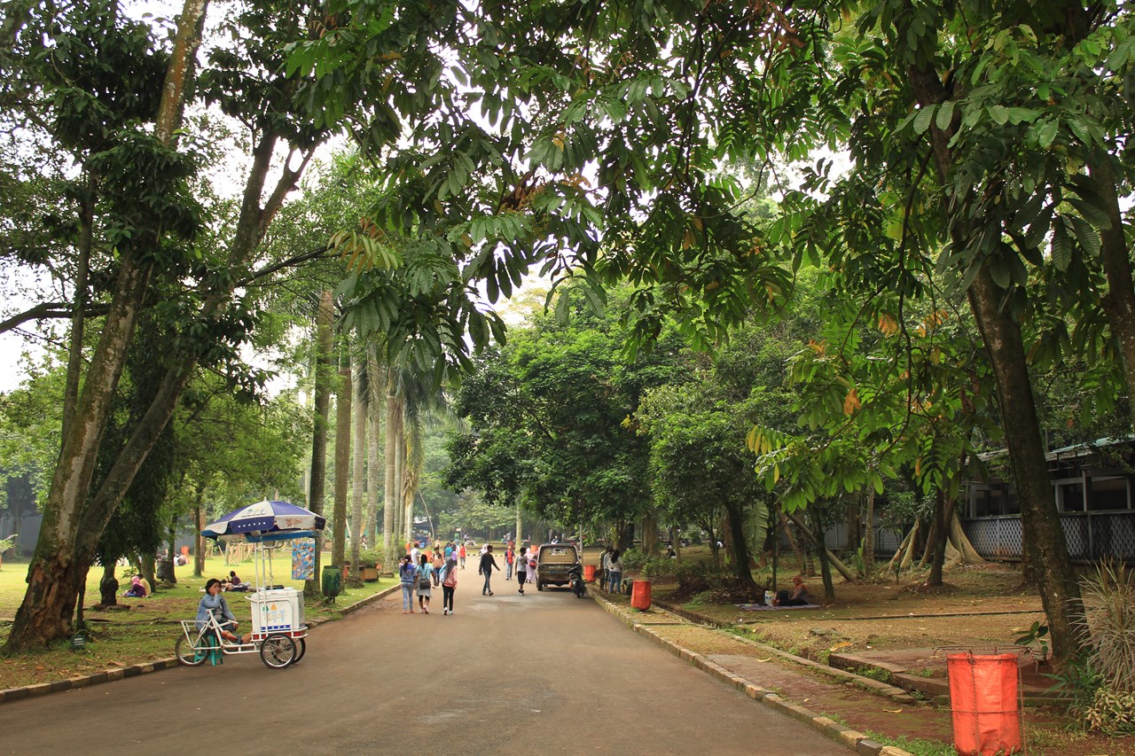 http://www.shintoko.jp/engblog/archives/images/2013/05/130511_ragunan4275.jpg