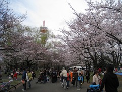 090404_blossamviewing_1536.jpg