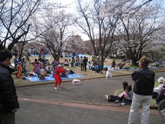 090404_blossamviewing_1537.jpg