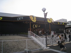 100312_catscanon_7635.jpg