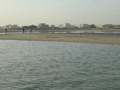 101217_alwakra066.jpg