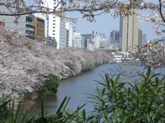 070329_iidabashi01.jpg