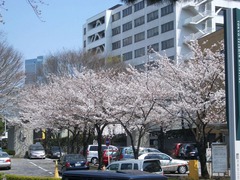 070329_iidabashi03.jpg