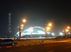 110129_asiancupfinal158.jpg