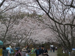 070401_jyouzapark01.jpg