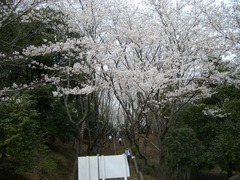 070401_jyouzapark02.jpg