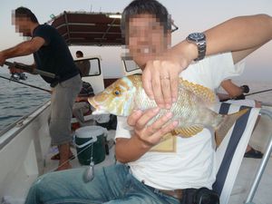 111028_qatarfishing936.jpg