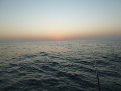 111028_qatarfishing937.jpg