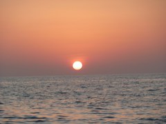 111028_qatarfishing940.jpg