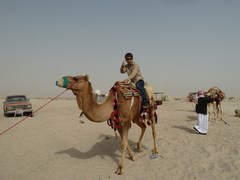 120309_desertsafari954.jpg