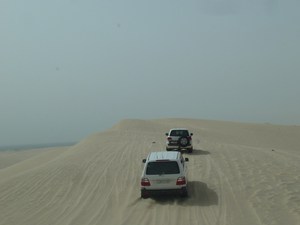 120309_desertsafari969.jpg