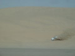 120309_desertsafari971.jpg