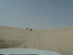 120309_desertsafari974.jpg