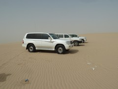 120309_desertsafari979.jpg