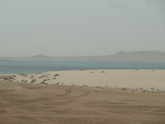 120309_desertsafari995.jpg