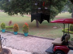 121020_golfcikampek76.jpg