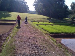130126_cikampekgolf1446.jpg