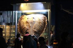 130303_seaworldindonesia3135.jpg