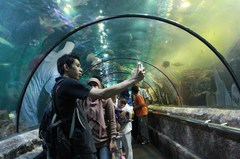 130303_seaworldindonesia3149.jpg