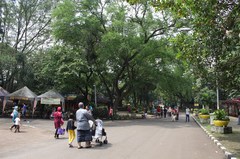 130511_ragunan4237.jpg