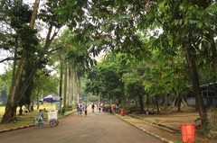 130511_ragunan4275.jpg