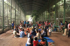 130511_ragunan4297.jpg