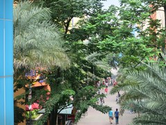 131103_moa1262.jpg