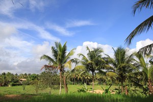 131226_ubudtrekking6417.jpg