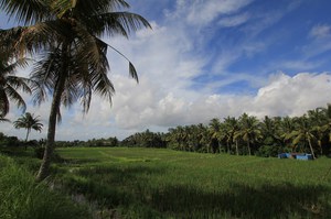 131226_ubudtrekking6423.jpg