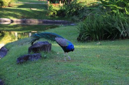 s-IMG_0096