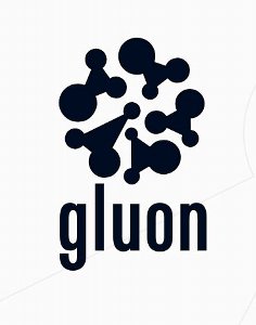 Googl建設とgluon